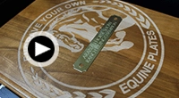 click to play Equine Plaque Video.